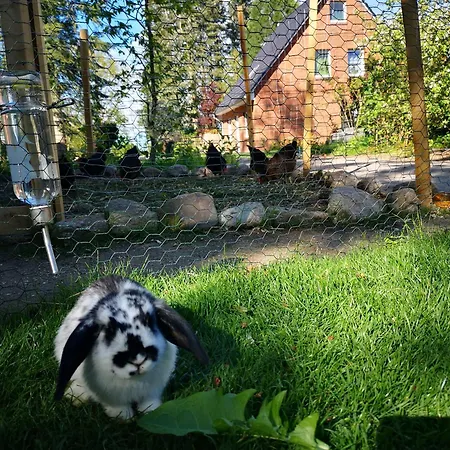 Hünzingen Ferienhaus Walsrode