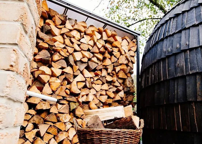 度假居 Huenzingen