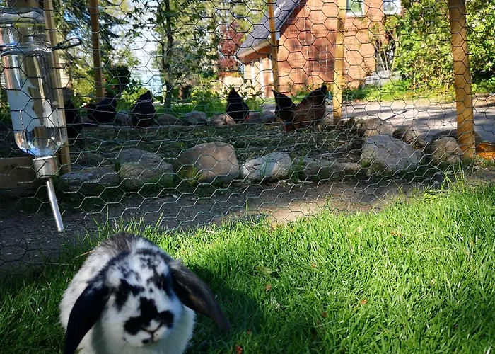 Huenzingen 度假居 瓦尔斯罗德